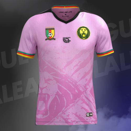 Maillot Cameroun Rose 2025/2026