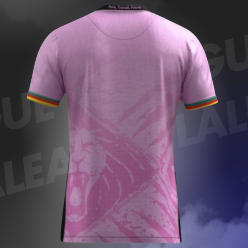Maillot Cameroun Rose 2025/2026