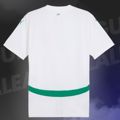 Maillot Sénégal Domicile 2025/2026