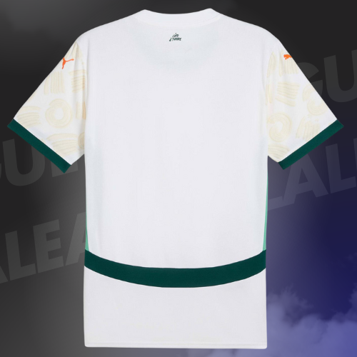 Maillot Côte D'Ivoire Extérieur 2025/2026