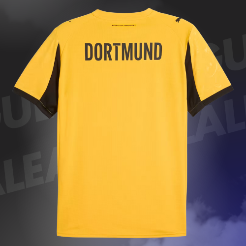 Maillot Dortmund Third 2025/2026
