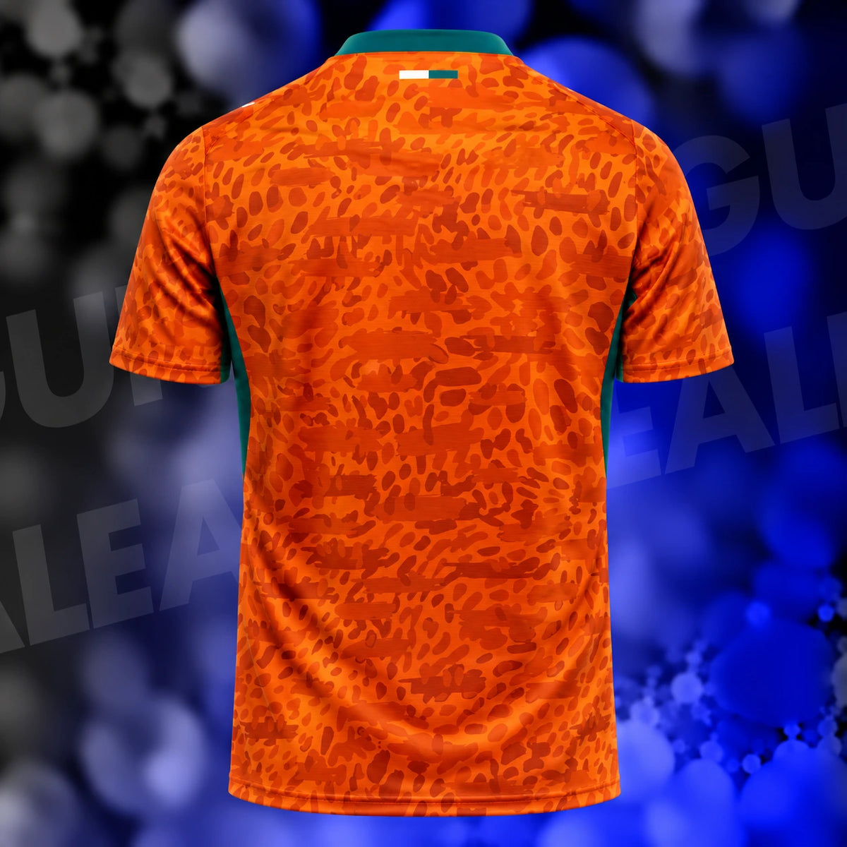 Maillot Cote d'Ivoire Domicile Coupe du Monde 2026