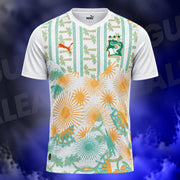 Maillot Cote d'Ivoire Exterieur Coupe du Monde 2026
