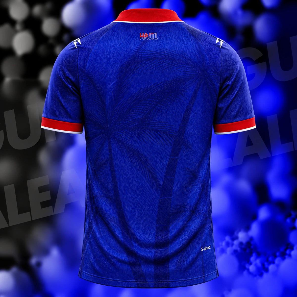 Maillot Haïti Domicile Coupe du Monde 2026