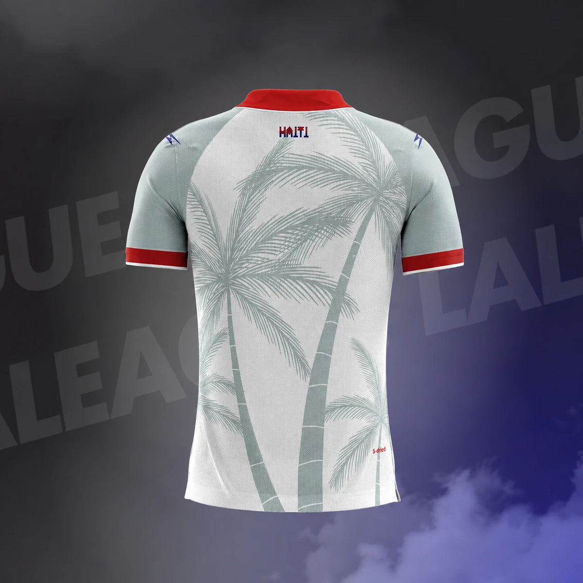 Maillot Haïti Exterieur Coupe du Monde 2026